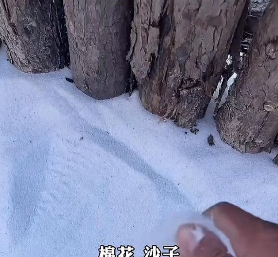 棉花雪景引争议，景区回应还原真相
