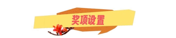 2025广西旅游攻略大赛火热来袭，带你玩转八桂大地