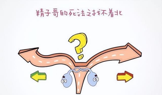 长期禁欲会影响男性健康吗？精液颜色变化可能暗示疾病