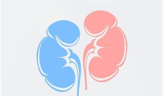 人人可及的中成药：茯菟丸，让你精气血双补，脾肾和谐