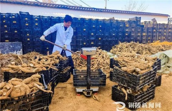 铜陵犁桥水镇跨年活动盛大启幕，邀你共赴一场难忘的迎新之旅