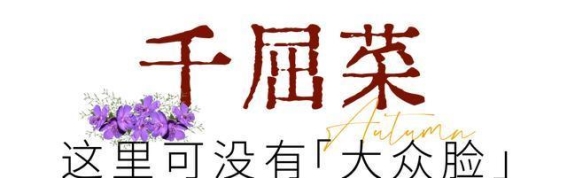 东湖的秋韵：花海中的希望与生命