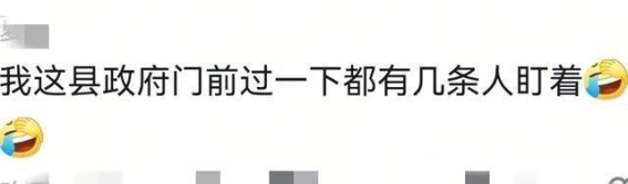 绩溪县县政府前夜市：打破传统，创新管理，重塑地方活力