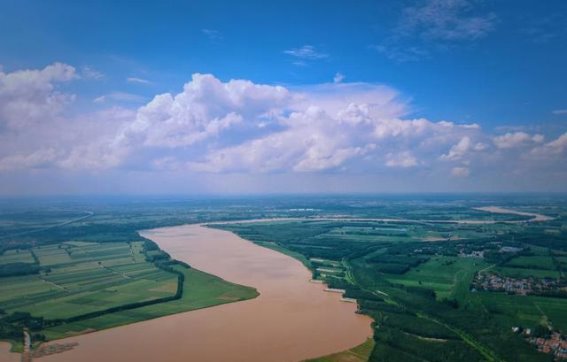 梁山黄河边的广袤草原：夏日盛景与自然的和谐交响