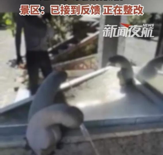 浙江景区“蛋蛋水龙头”引争议，艺术性与公共道德的碰撞