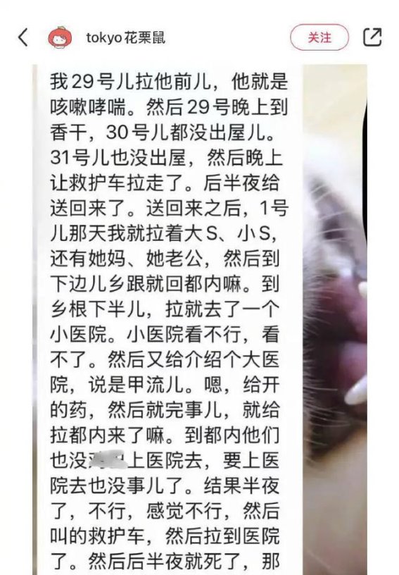 大S健康突发事件背后的时间线：错失救治的遗憾