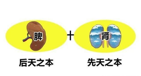 湿气之根从脾肾入手，中医两招助你清除体内湿气