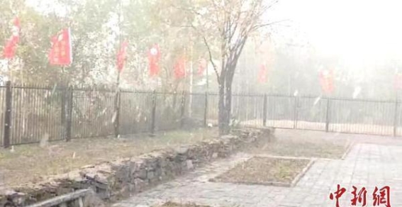 中国最冷小镇迎来今秋首场降雪：呼中区的早冬奇遇