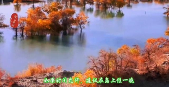 探寻新疆尉犁葫芦岛的深秋魅力