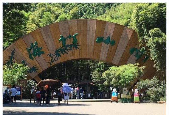 江苏湖畔风光：美丽景区各有千秋，你的理想之地在哪儿？