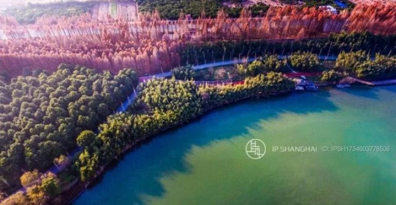 崇明冬景：大自然赐予的色彩与宁静