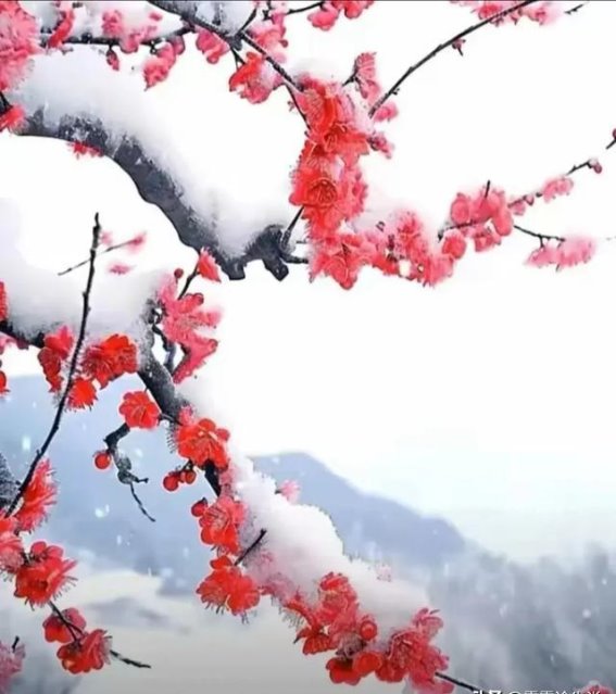 为什么很多60岁以上的丈夫早于妻子离世？这3个原因你知道吗？