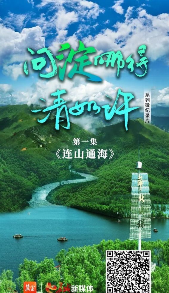 白洋淀的回归：从污染到净水的生态传奇