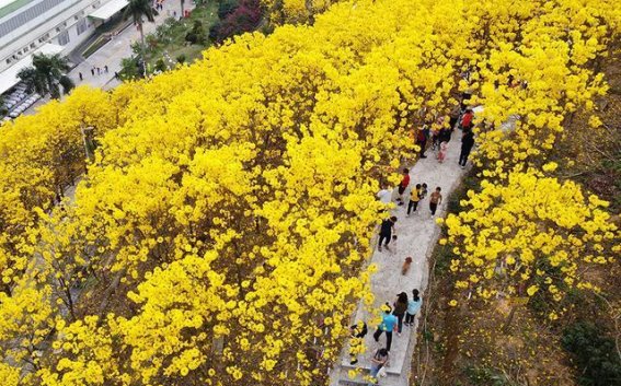 文旅融合助力梧州打造文化强市