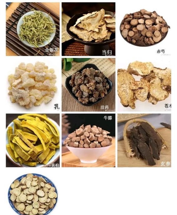 疮疡治疗的圣药——细解经典中医方剂的独特魅力