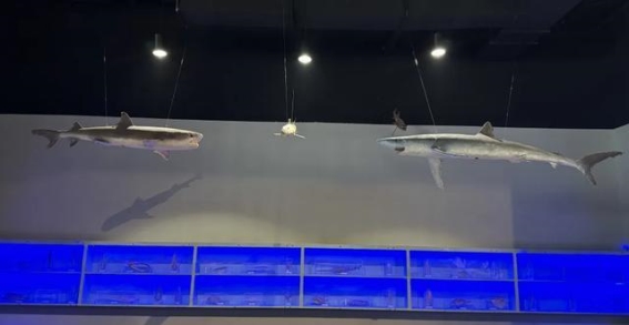 时空·龙门镇春日研学之旅，探索知识的无尽奥秘
