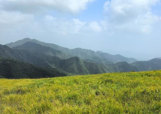走进张家口怀来县的自然奇观：官厅水库湿地与黄龙山庄的生态之美