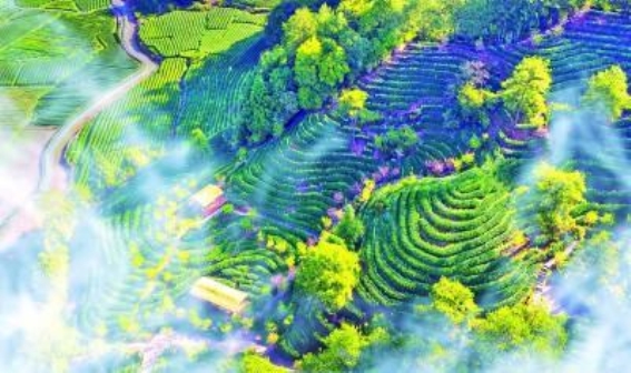 福建文旅的独特魅力与未来展望
