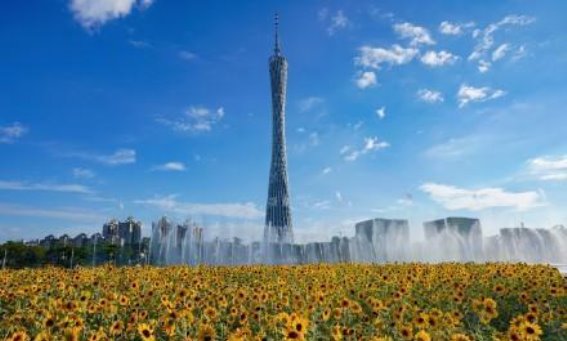 春节机票预订热潮提前启动，旅游市场反应迅速