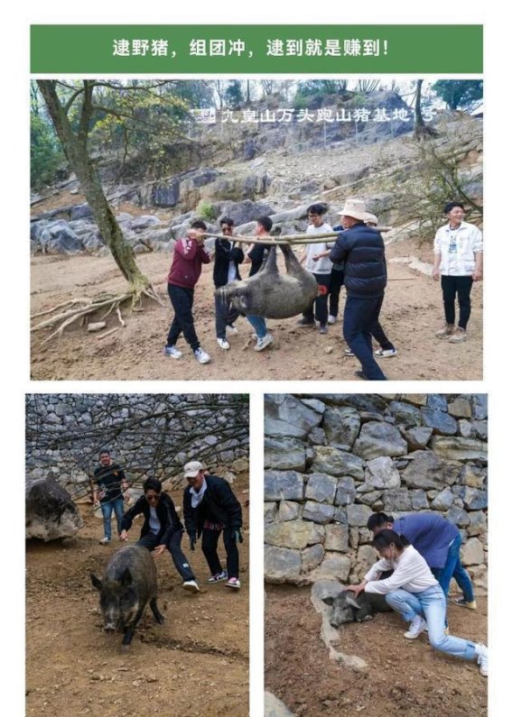 九皇山景区“徒手逮猎”项目取消的深远思考