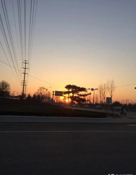 上班路上的四季变换