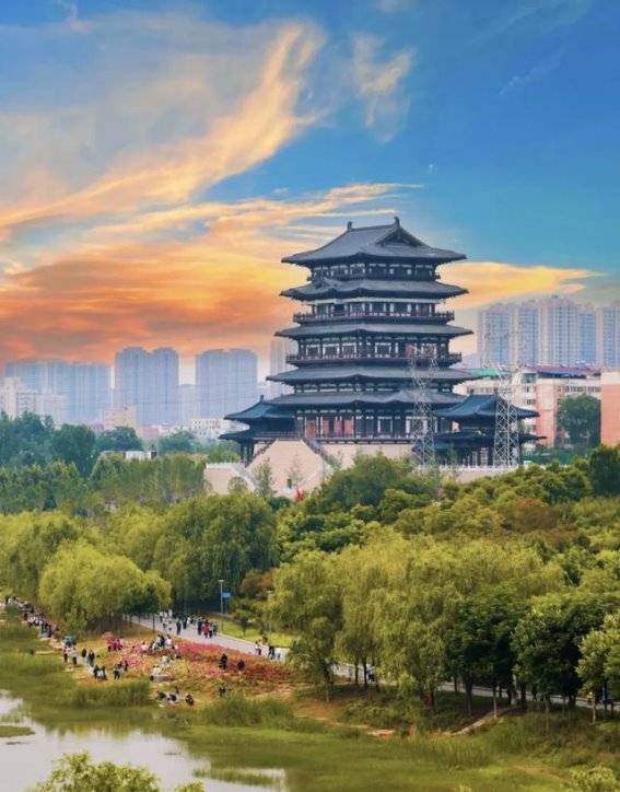 郑州的花海秘境：西流湖公园之旅