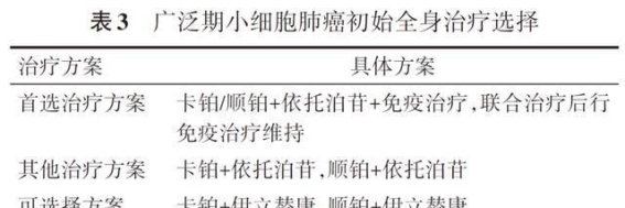 探索冬季节庆的魅力：从活动到传统的完美融合