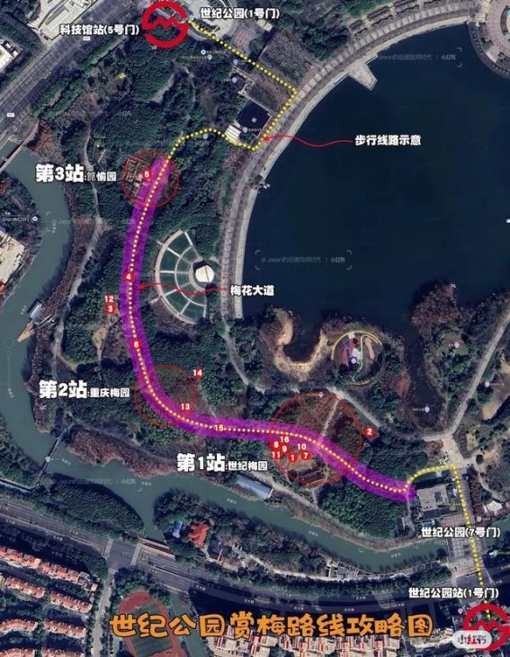 上海世纪公园：都市绿洲中的心灵净土