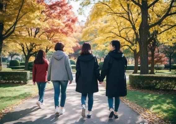 秋季养生指南：健康生活从现在开始