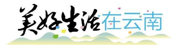 云南的美好生活：首届昆明公交“花漾春乘”旅游文化节暨新春年货街开幕