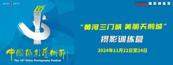 黄河三门峡美丽天鹅城摄影训练营：一次艺术与自然的邂逅