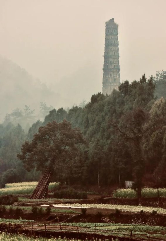 浙江这座5A古寺，深藏千年，无门票，却成了“良心寺院”的典范