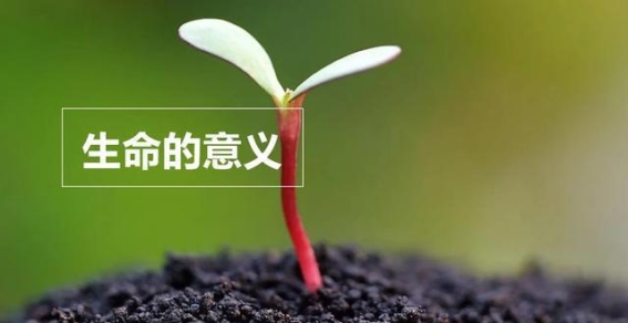 在尊重个体权利、平衡医疗资源与传承伦理道德中寻找平衡