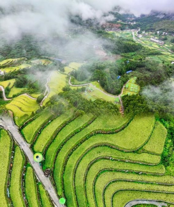 浙江的最美林海公路，23.5公里尽览江南风光