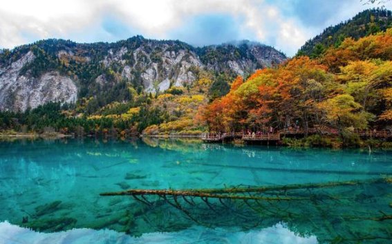 避开旅游雷区，提升你的旅行幸福感