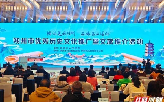 朔州文旅推介会长沙圆满落幕，古韵山西邀你共赴历史文化之旅