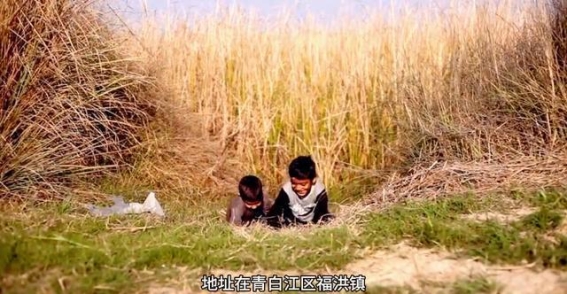 成都森林儿童博物馆全攻略：一次与自然亲密接触的奇妙之旅