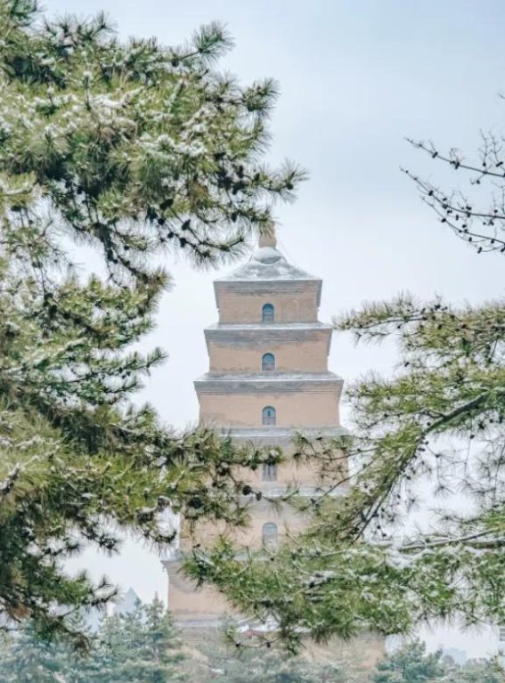 寒假亲子游新风尚：10大旅行目的地，让孩子在玩乐中收获成长