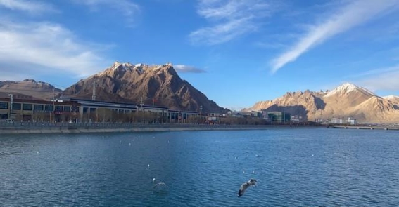 红柳镇的未来：边疆治理的新起点