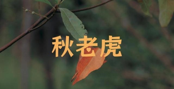 秋老虎”来袭，记得吃秋5宝”，清爽还降燥，为入秋打好基础