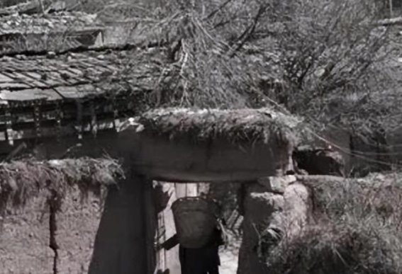 李伯藩：坚守义诊十八载，恪守医者初心