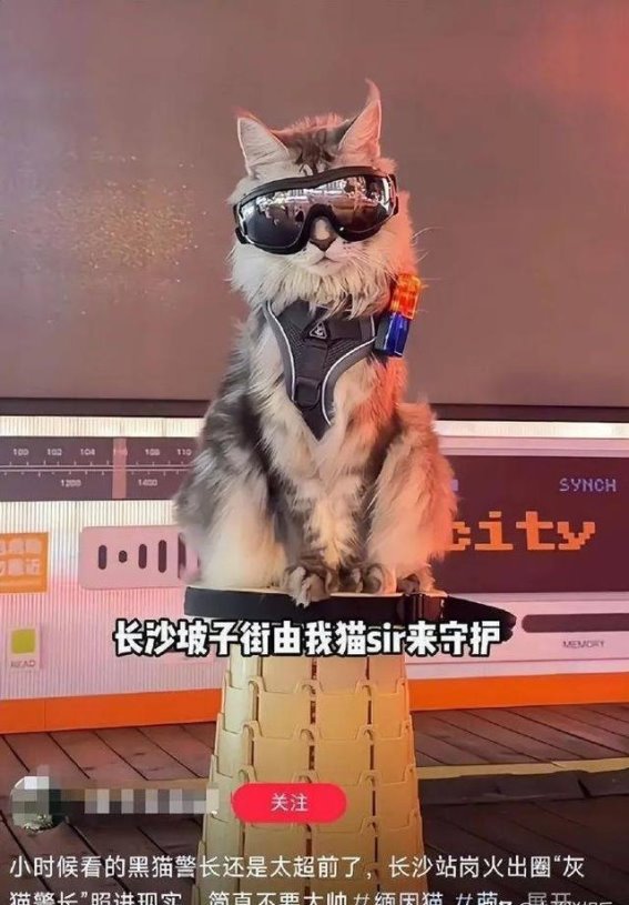 长沙热潮：这座城市的魅力与挑战