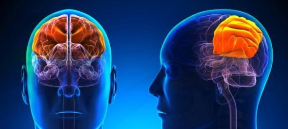 脑部核磁MRI报告中的“可怕”名词：你真的需要担心吗？