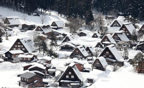 白川乡的合掌造村落：大雪与古老建筑的交响