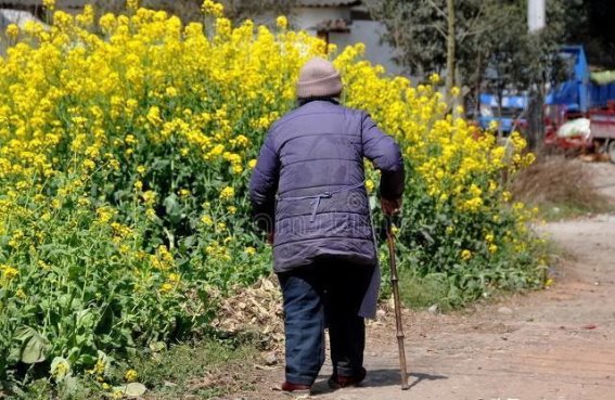 为什么越来越多外国人爱上成都，这里的“烟火气”有何魔力？