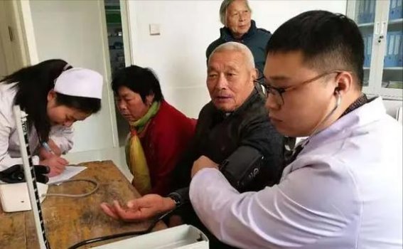 山药真的能养肾吗？白大叔的半年实践告诉你答案