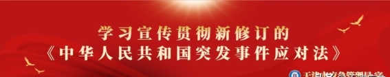 天津立春的温暖呼唤，岁月轮回，春风再起