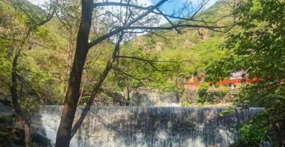 鹤伴山：山东的天然氧吧，悠然自得的避暑胜地