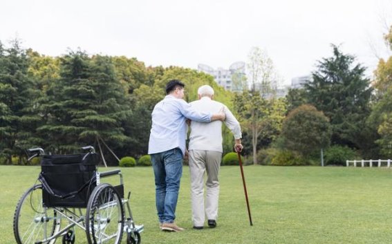 糖摄入与老年健康：不可忽视的隐形杀手