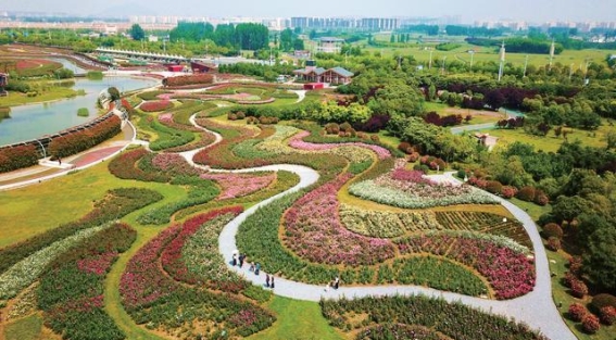 南阳：文化与旅游的辉煌新篇章